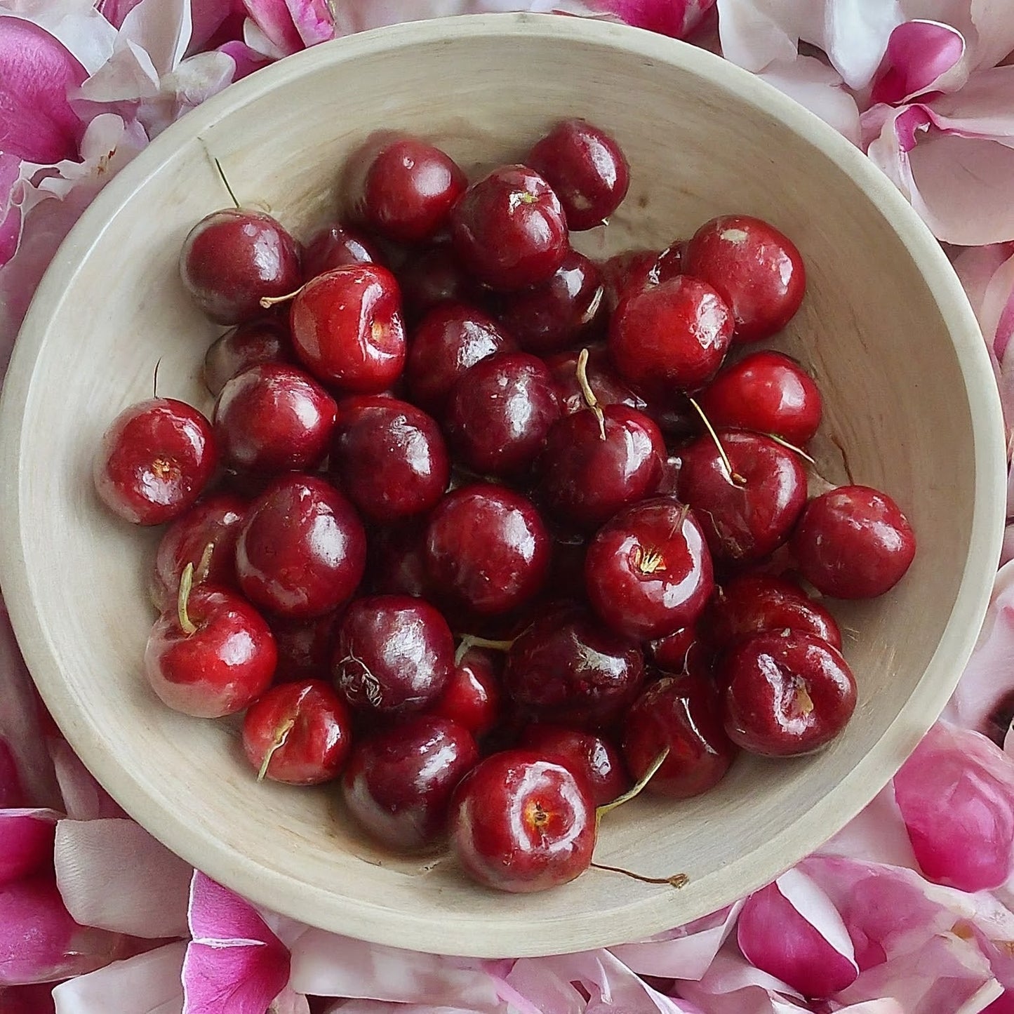 Cereza y magnolia